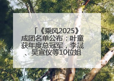 《乘风2025》成团名单公布：叶童获年度总冠军，李晟、吴宣仪等10位姐姐成功成团，陈德容获年度高光人物