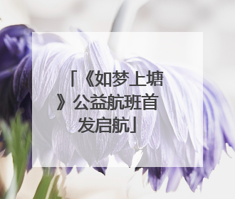 《如梦上塘》公益航班首发启航
