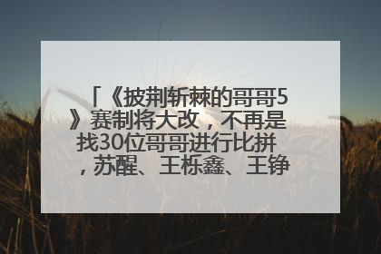 《披荆斩棘的哥哥5》赛制将大改，不再是找30位哥哥进行比拼，苏醒、王栎鑫、王铮亮、张远等多名男团选手被曝将参加