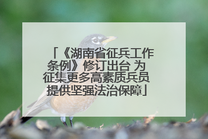 《湖南省征兵工作条例》修订出台 为征集更多高素质兵员提供坚强法治保障