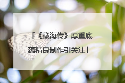 《藏海传》厚重底蕴精良制作引关注
