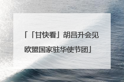 「甘快看」胡昌升会见欧盟国家驻华使节团