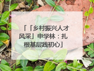 「乡村振兴人才风采」申学林：扎根基层践初心
