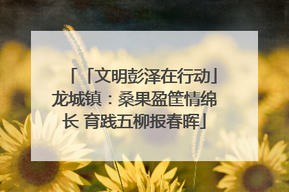 「文明彭泽在行动」龙城镇：桑果盈筐情绵长 育践五柳报春晖