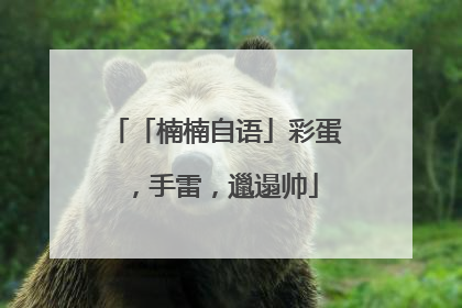 「楠楠自语」彩蛋，手雷，邋遢帅