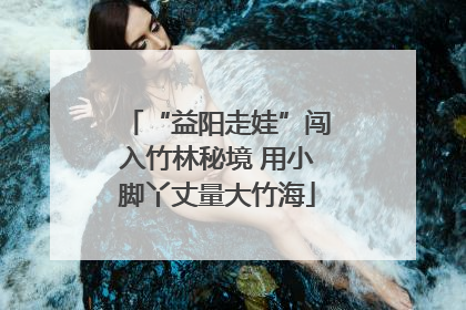 “益阳走娃”闯入竹林秘境 用小脚丫丈量大竹海
