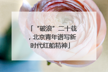 “破浪”二十载，北京青年谱写新时代红船精神
