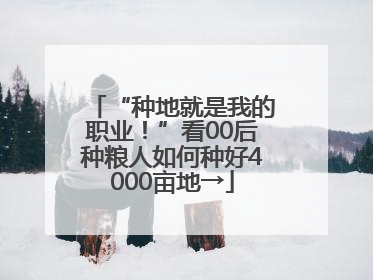 “种地就是我的职业！”看00后种粮人如何种好4000亩地→