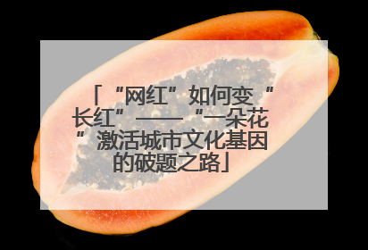 “网红”如何变“长红”——“一朵花”激活城市文化基因的破题之路