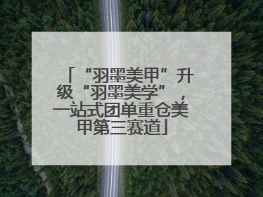 “羽墨美甲”升级“羽墨美学”，一站式团单重仓美甲第三赛道