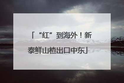 “红”到海外！新泰鲜山楂出口中东