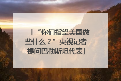 “你们指望美国做些什么？”央视记者提问巴勒斯坦代表