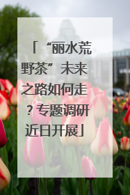 “丽水荒野茶”未来之路如何走？专题调研近日开展