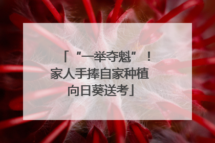 “一举夺魁”！家人手捧自家种植向日葵送考