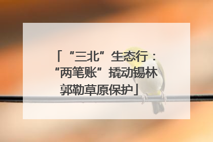 “三北”生态行：“两笔账”撬动锡林郭勒草原保护