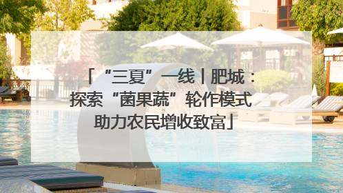 “三夏”一线丨肥城：探索“菌果蔬”轮作模式 助力农民增收致富