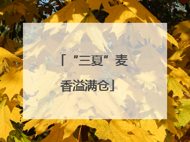 “三夏”麦香溢满仓