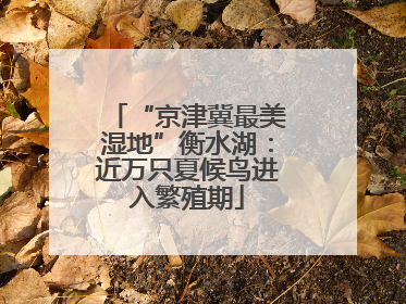 “京津冀最美湿地”衡水湖：近万只夏候鸟进入繁殖期