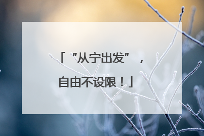“从宁出发”，自由不设限！