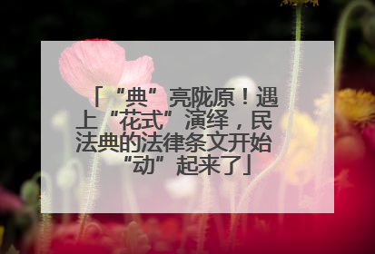 “典”亮陇原！遇上“花式”演绎，民法典的法律条文开始“动”起来了