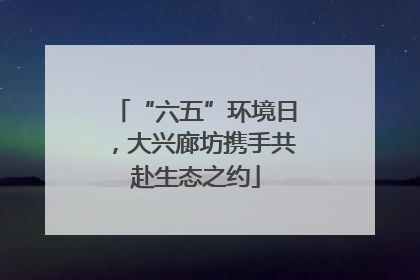 “六五”环境日，大兴廊坊携手共赴生态之约