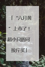 “六月黄”上市了！超小只的可按斤买