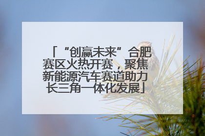 “创赢未来”合肥赛区火热开赛，聚焦新能源汽车赛道助力长三角一体化发展