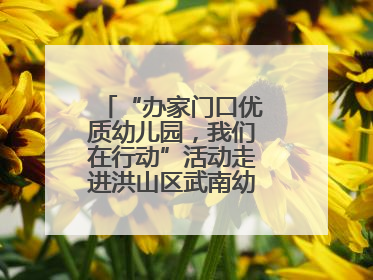 “办家门口优质幼儿园，我们在行动”活动走进洪山区武南幼儿园童趣园