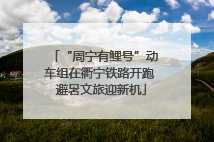 “周宁有鲤号”动车组在衢宁铁路开跑 避暑文旅迎新机