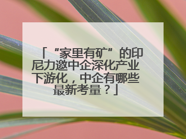 “家里有矿”的印尼力邀中企深化产业下游化，中企有哪些最新考量？