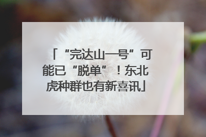 “完达山一号”可能已“脱单”！东北虎种群也有新喜讯