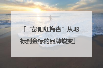 “彭阳红梅杏”从地标到金标的品牌蜕变