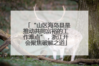 “山区海岛县是推动共同富裕的工作难点”，浙江开会聚焦破解之道