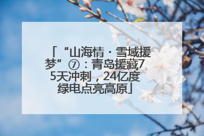 “山海情・雪域援梦”⑦：青岛援藏75天冲刺，24亿度绿电点亮高原