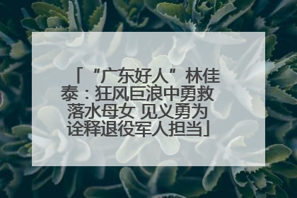 “广东好人”林佳泰：狂风巨浪中勇救落水母女 见义勇为诠释退役军人担当