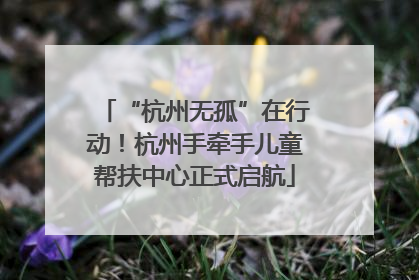 “杭州无孤”在行动！杭州手牵手儿童帮扶中心正式启航