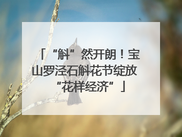 “斛”然开朗！宝山罗泾石斛花节绽放“花样经济”