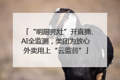 “明厨亮灶”开直播、AI全监测，美团为放心外卖用上“云监督”