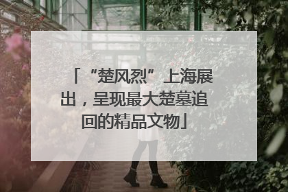 “楚风烈”上海展出，呈现最大楚墓追回的精品文物