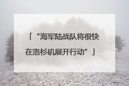 “海军陆战队将很快在洛杉矶展开行动”