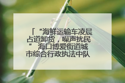 “海鲜运输车凌晨占道卸货，噪声扰民” 海口博爱街道城市综合行政执法中队：将联合交警加强长堤路一带巡逻