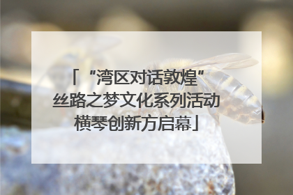 “湾区对话敦煌” 丝路之梦文化系列活动横琴创新方启幕