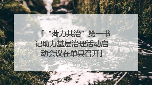 “菏力共治”第一书记助力基层治理活动启动会议在单县召开