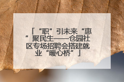 “职”引未来“惠”聚民生——仓园社区专场招聘会搭建就业“暖心桥”