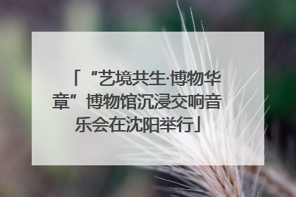 “艺境共生·博物华章”博物馆沉浸交响音乐会在沈阳举行