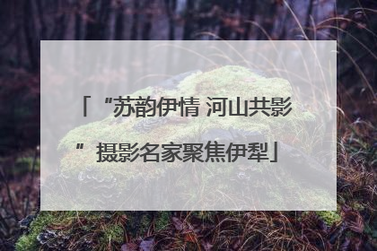 “苏韵伊情 河山共影”摄影名家聚焦伊犁