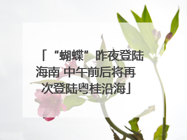 “蝴蝶”昨夜登陆海南 中午前后将再次登陆粤桂沿海