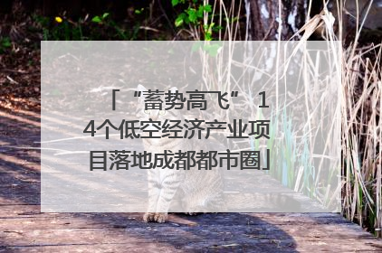 “蓄势高飞” 14个低空经济产业项目落地成都都市圈