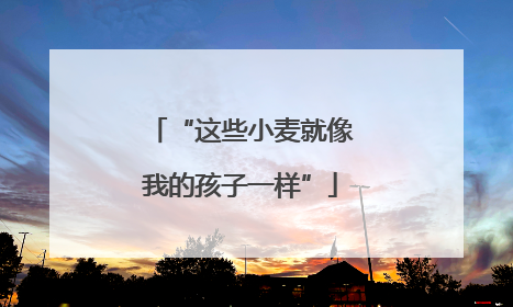 “这些小麦就像我的孩子一样”