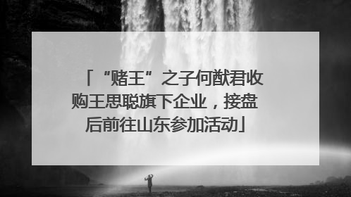 “赌王”之子何猷君收购王思聪旗下企业，接盘后前往山东参加活动